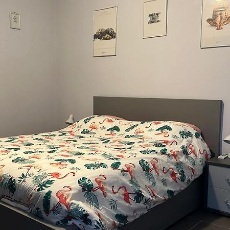 Ruime Studio In Deurne 안트베르펜 외부 사진