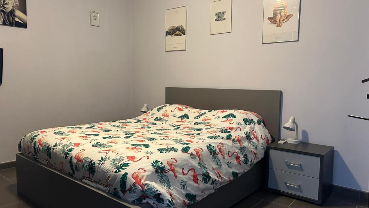 Ruime Studio In Deurne 안트베르펜 외부 사진